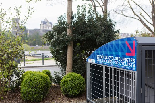 Signalétique adhésive