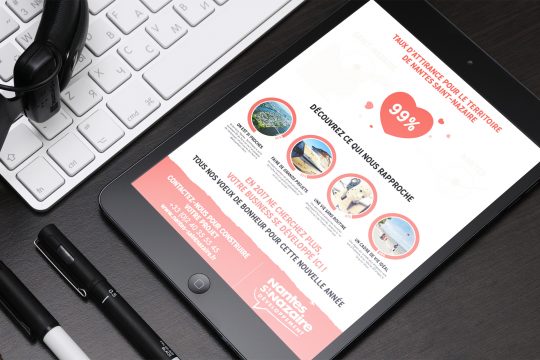 NANTES SAINT-NAZAIRE VOEUX 2017