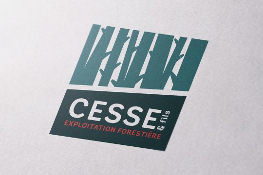 Logo-CESSE