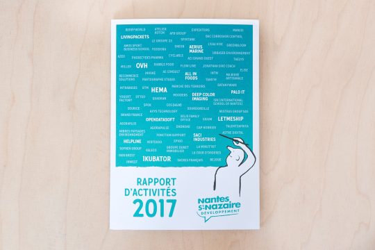 Rapport-activite-NSD