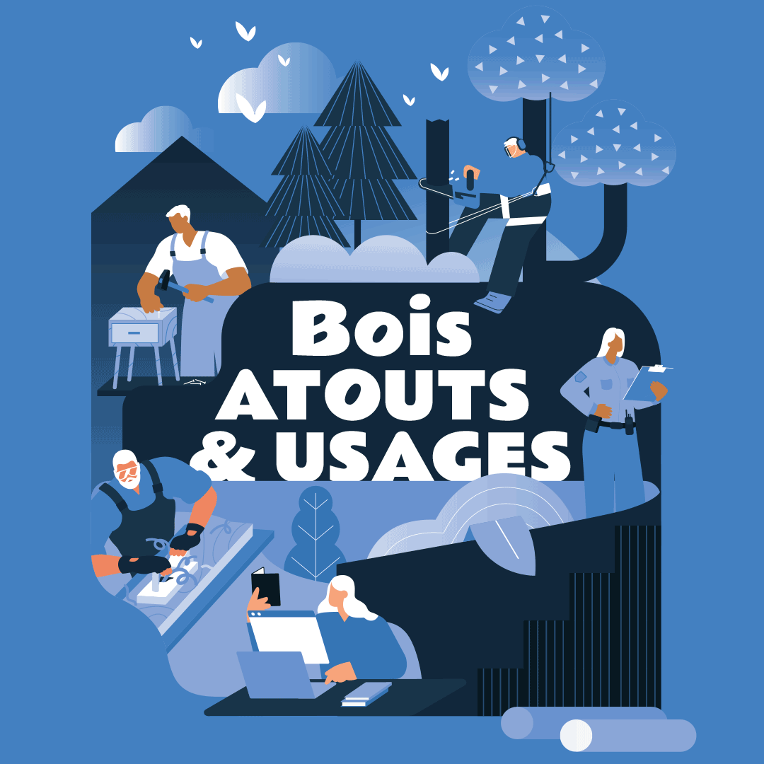 Illustrations Centre de Ressources FIBOIS